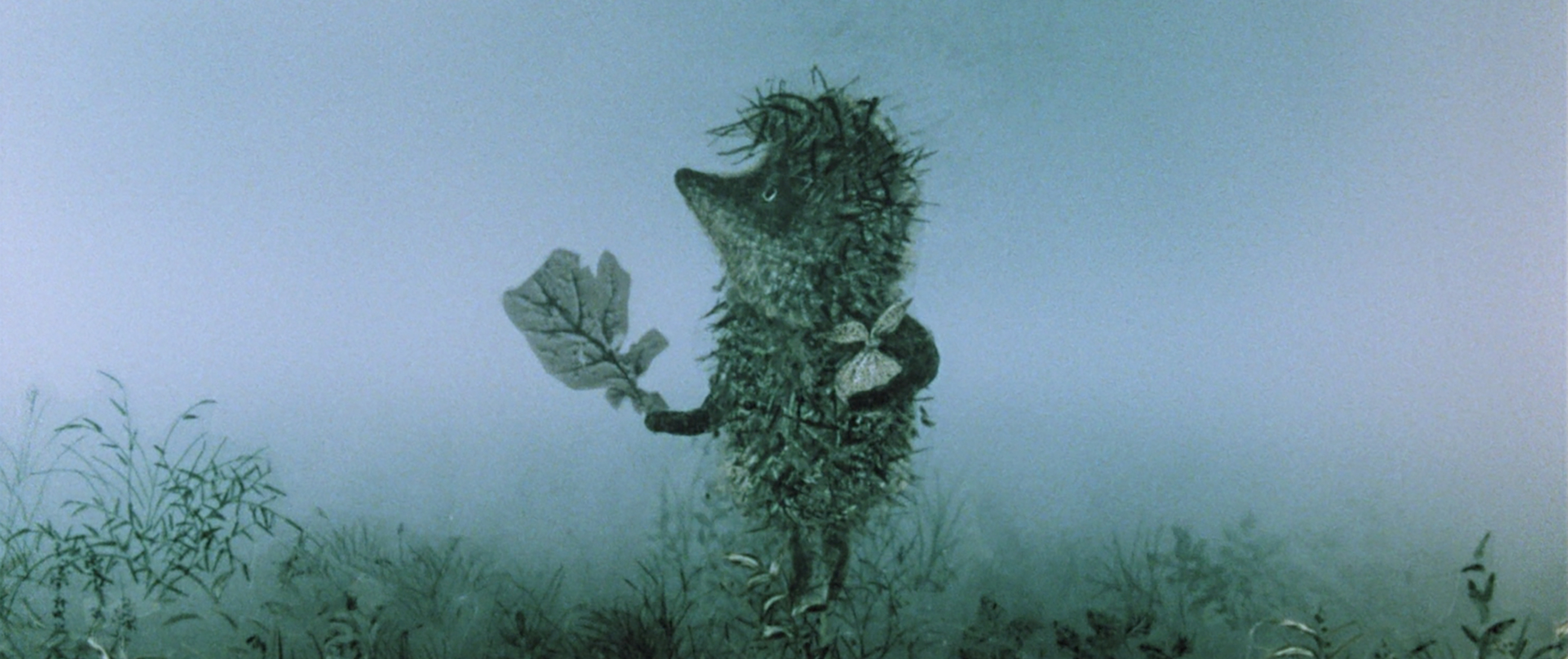 Le Petit Hérisson dans la brume et autres merveilles