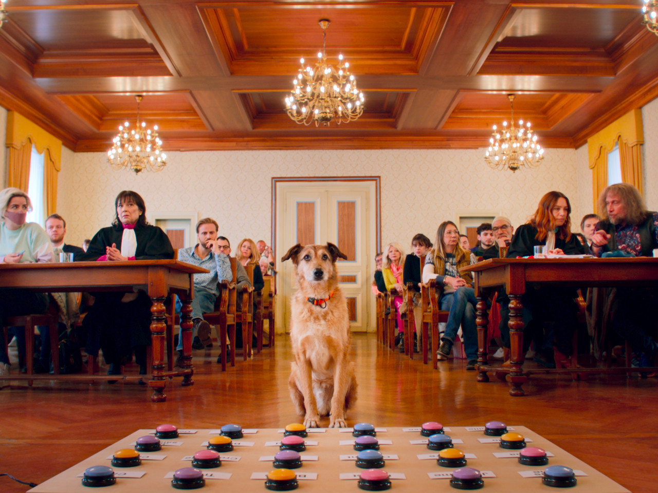 Avant-première: "Le Procès du chien" de Laetitia Dosch