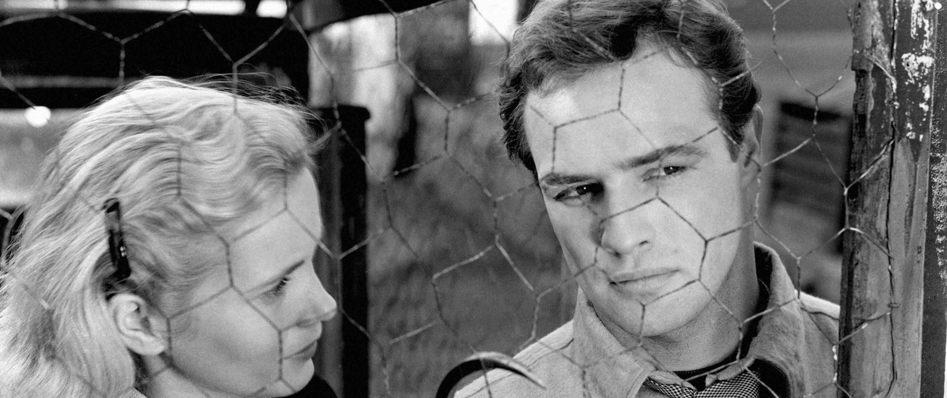 On the Waterfront