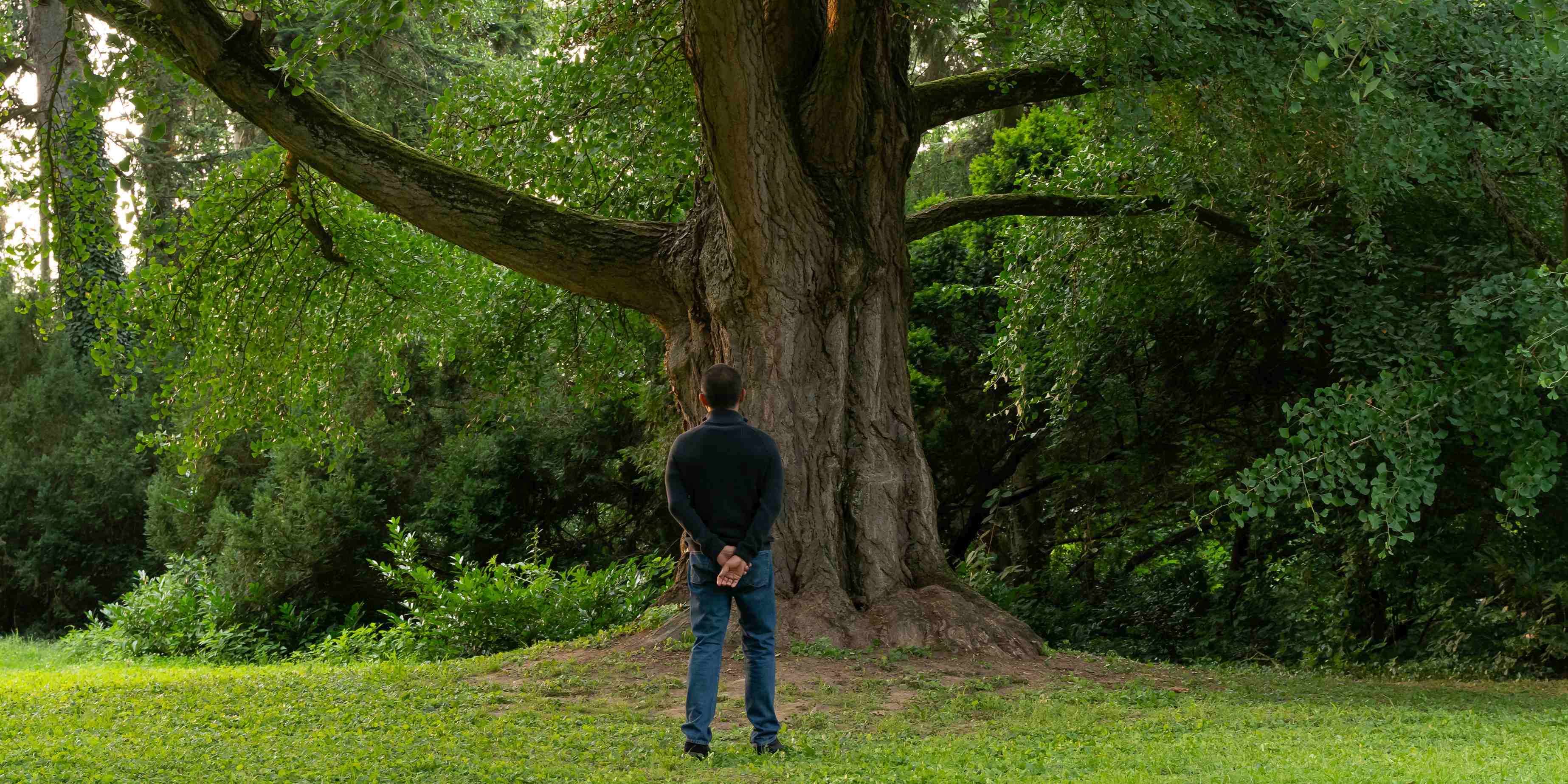 Avant-première de "Silent Friend" en présence de Tony Leung Chiu-wai - complet