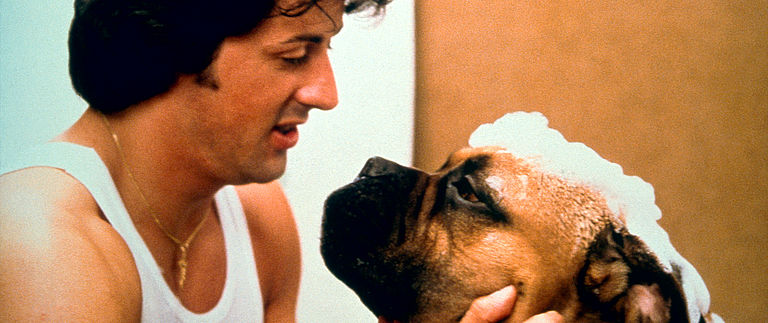 Rocky
